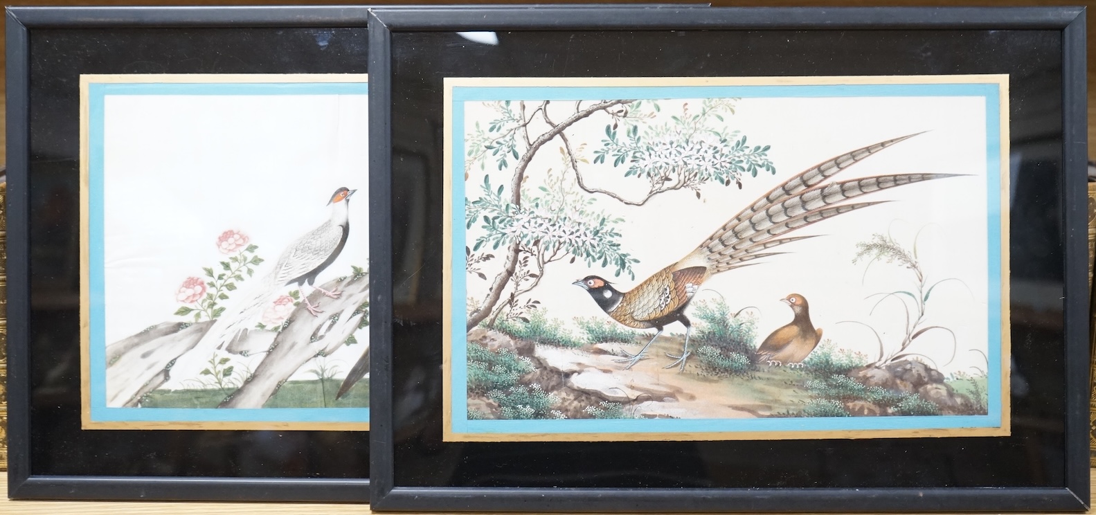 Chinese School, Birds of paradise, pair of pith paper paintings, 16 x 28cm, framed
